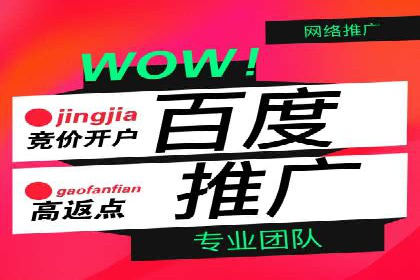 专业SEM代运营公司案例分享：品牌曝光秘诀